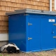 Wild skunk at Canadian residential home with cedar siding investigating TuffBoxx blue galvanized steel wildlife-resistant storage container demonstrating urban wildlife pressure and secure storage solution